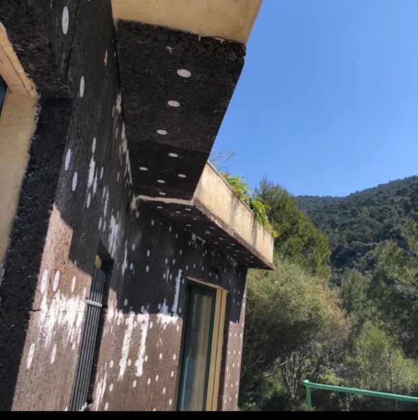 PHOTO-2026-01-26-18-45-41(7)